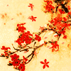 [Avatar]