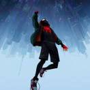 [Avatar]