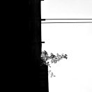 [Avatar]