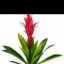 [Avatar]